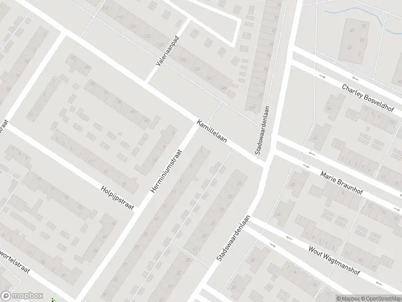 Overlastmelding Herminiumstraat in Arnhem gesloten