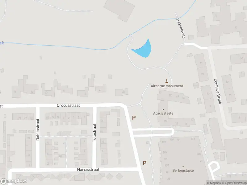 Overlastmelding Crocusstraat in Son en Breugel
