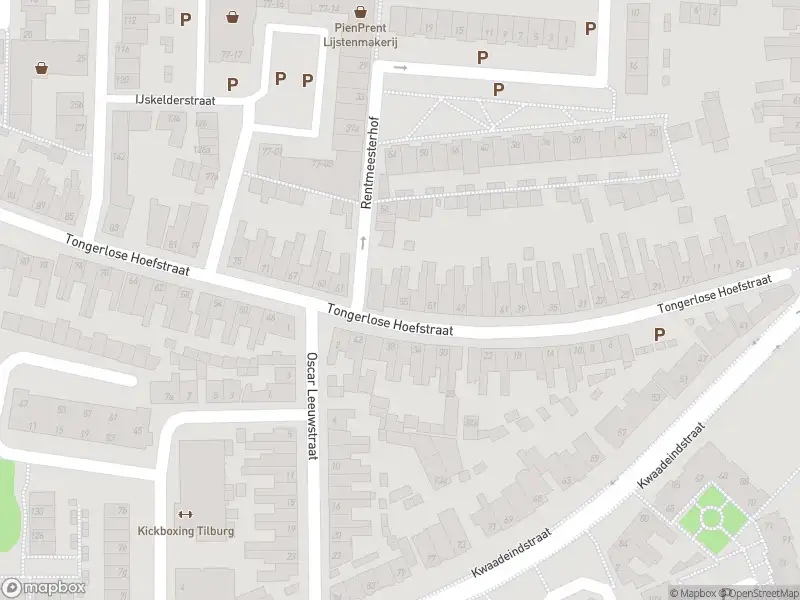 Overlastmelding Tongerlose Hoefstraat in Tilburg