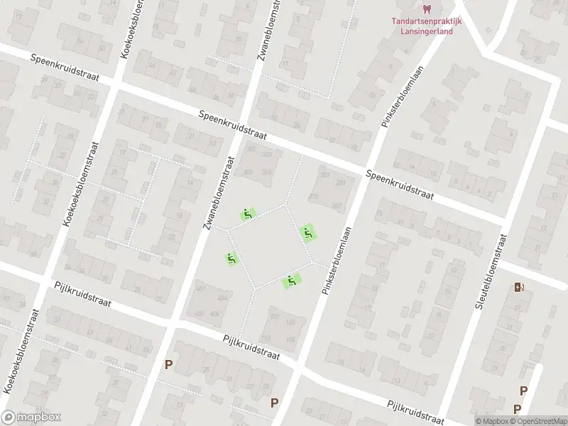 Brandweer met gepaste spoed naar de Koekoeksbloemstraat in Berkel en Rodenrijs