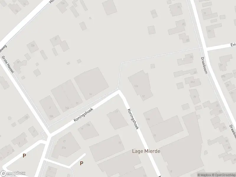 Brandweer met gepaste spoed naar de Richelpad in Lage Mierde