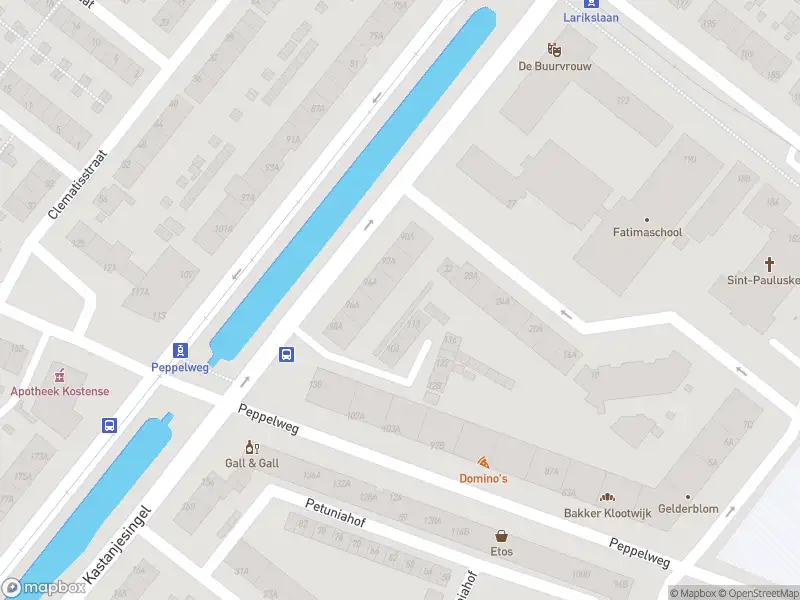 Ambulance met grote spoed naar de Kastanjesingel in Rotterdam