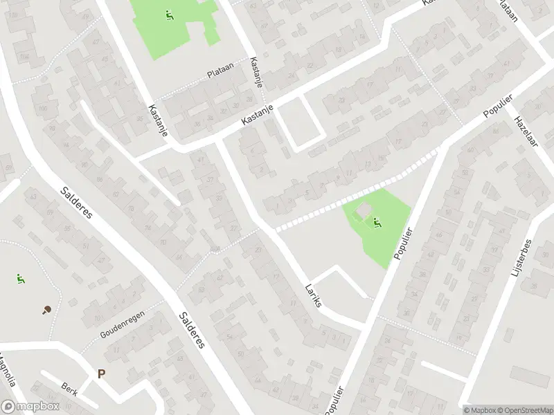 Overlastmelding Populier in Best