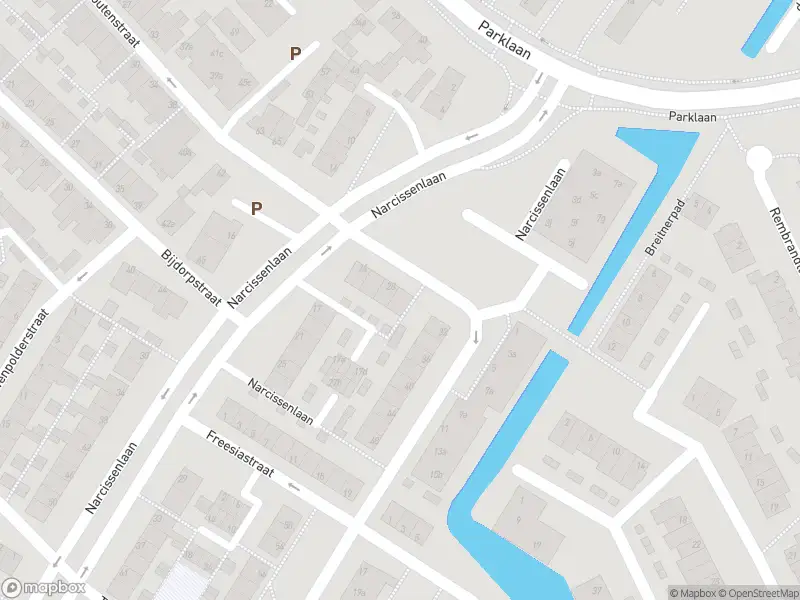 Overlastmelding Narcissenlaan in Sassenheim