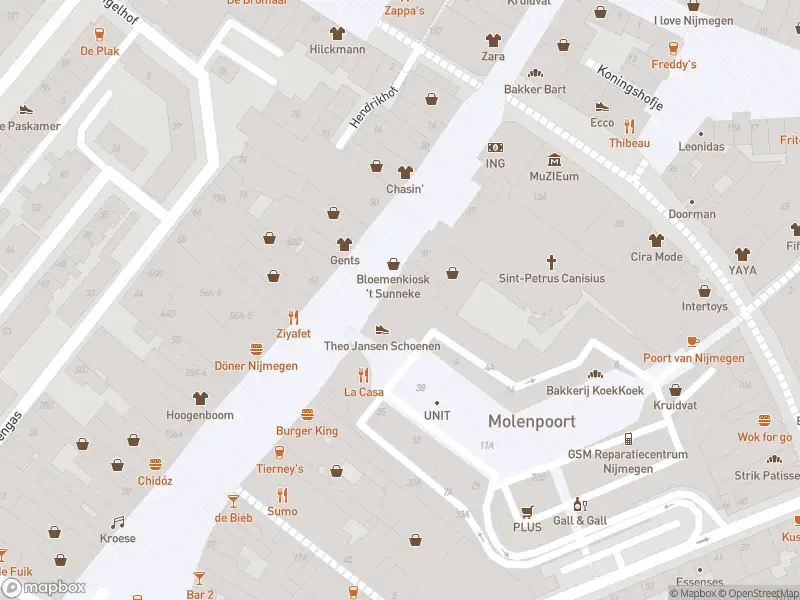 Politie naar de Grote Markt in Nijmegen