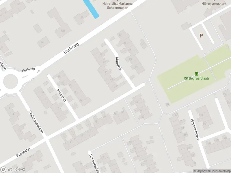 Overlastmelding Mandrill in Wognum gesloten