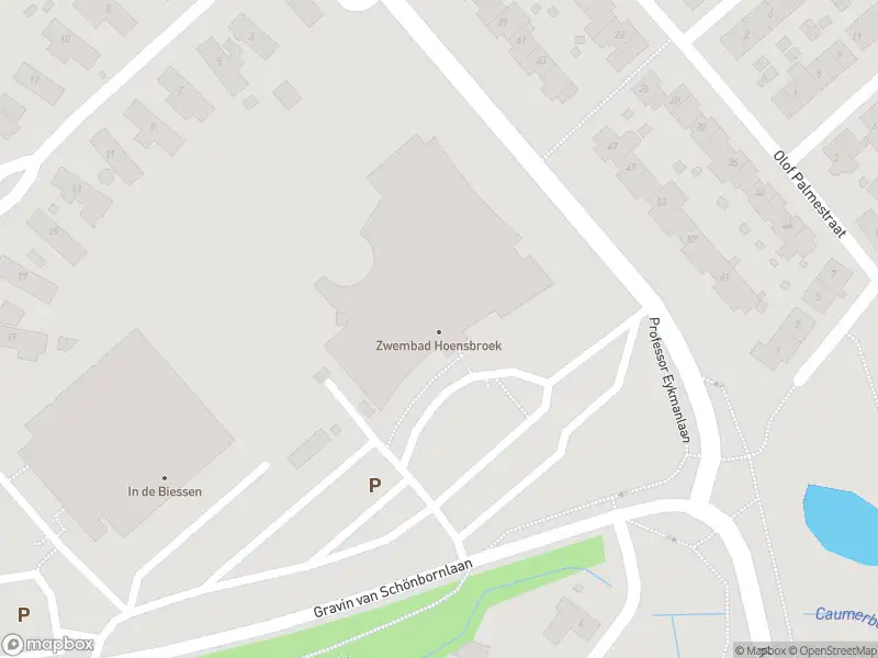 Brandweer met gepaste spoed naar de Gravin van Schönbornlaan in Hoensbroek