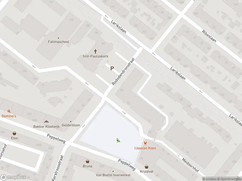 112 melding Brandweer met gepaste spoed naar de Rododendronstraat in Rotterdam