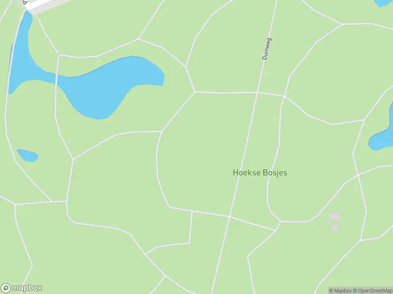 Brandweer met gepaste spoed naar de Duinweg in Hoek van Holland vanwege stormschade