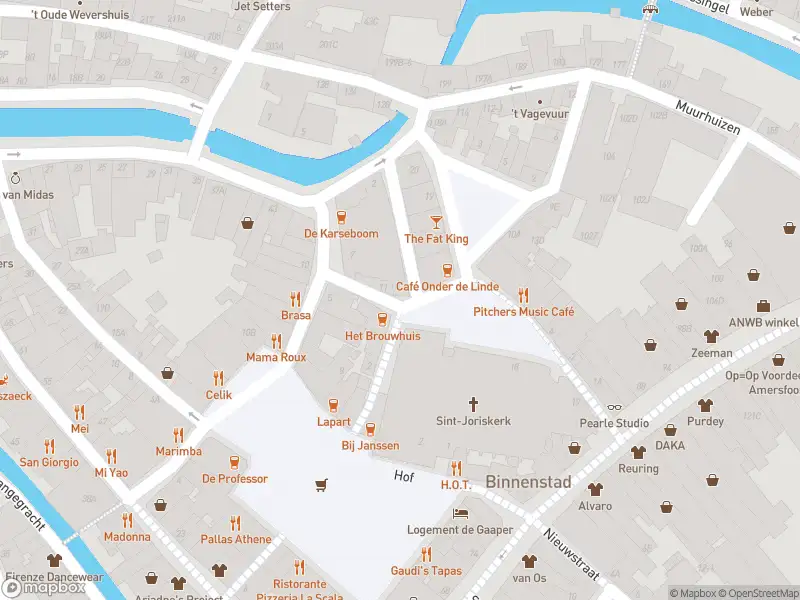 Brandweer met gepaste spoed naar de Vijver in Amersfoort