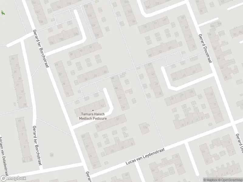 Politie met grote spoed naar de Gerard Doustraat in Roosendaal vanwege steekincident