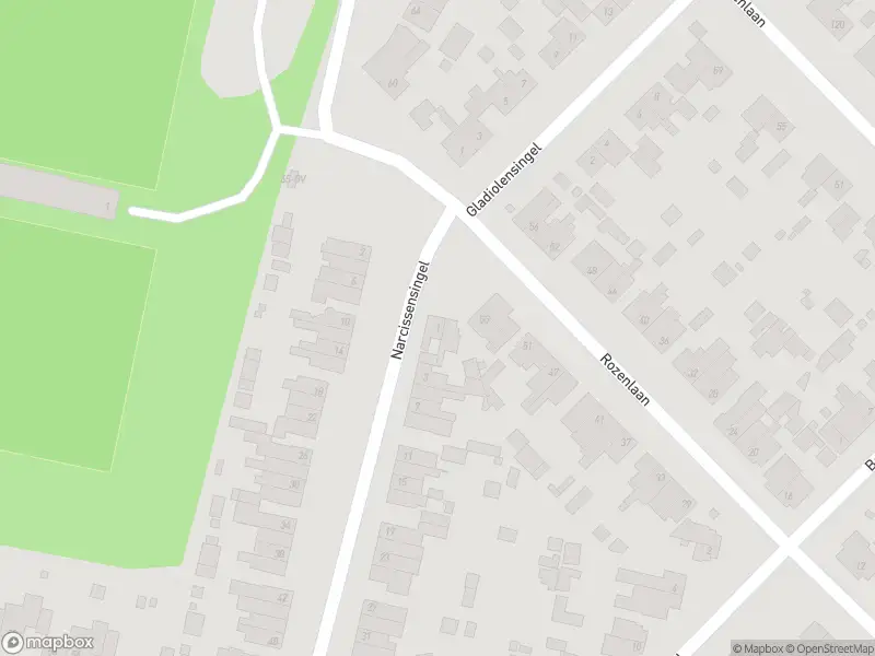 Overlastmelding Narcissensingel in Geleen gesloten