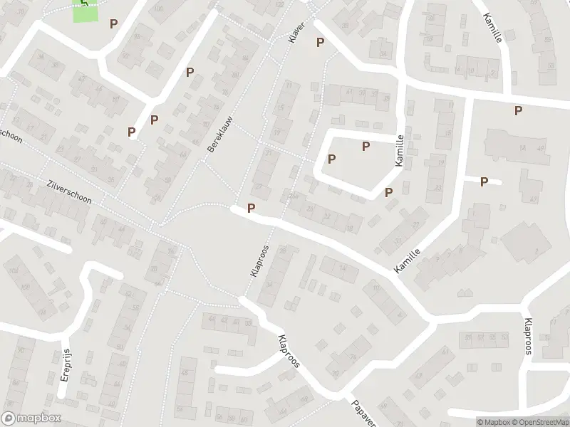 Traumahelikopter naar de Kamille in Werkendam vanwege reanimatie