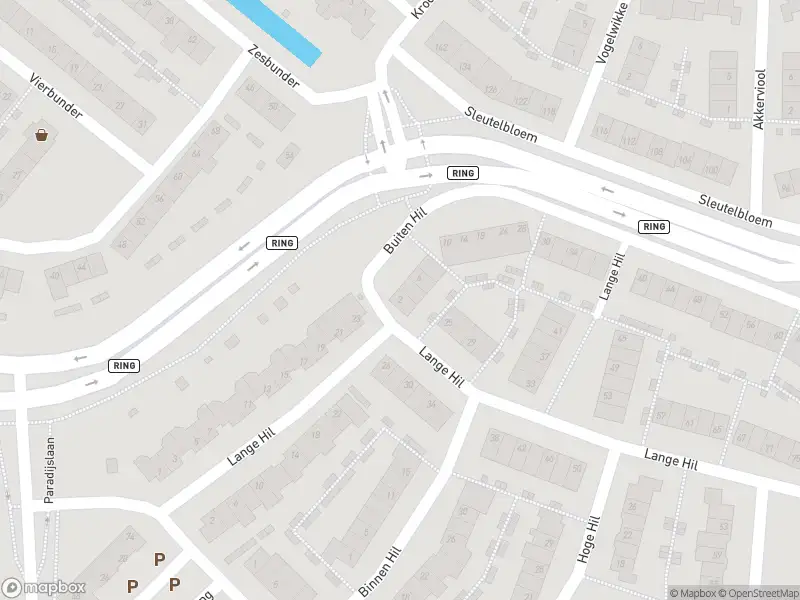 Politie met grote spoed naar de Buiten Hil in Breda vanwege letsel