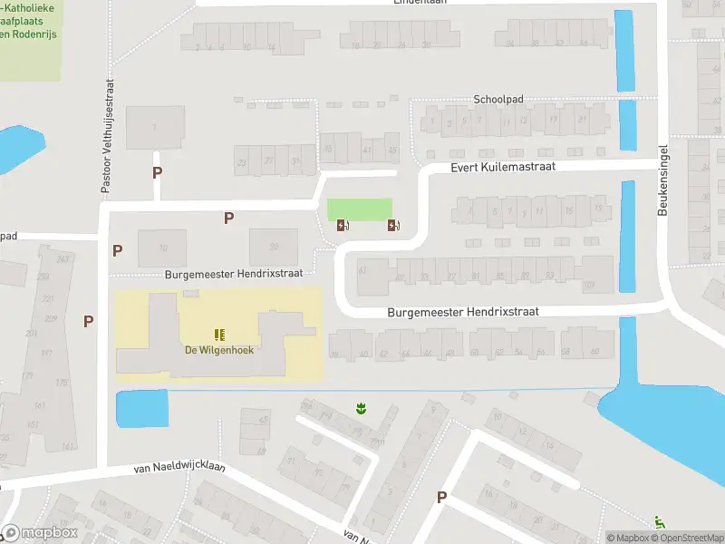 Ambulance met gepaste spoed naar de Burgemeester Hendrixstraat in Berkel en Rodenrijs