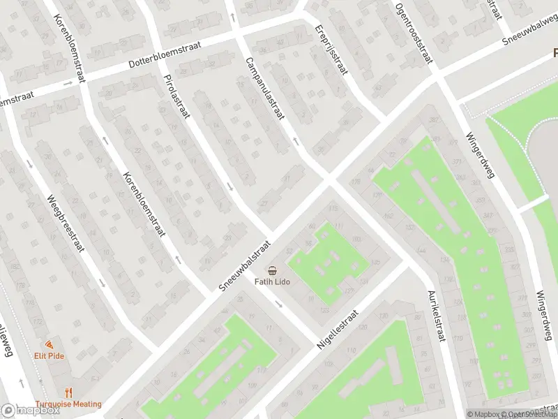 Ambulance met grote spoed naar de Binnenhofstraat in Amsterdam