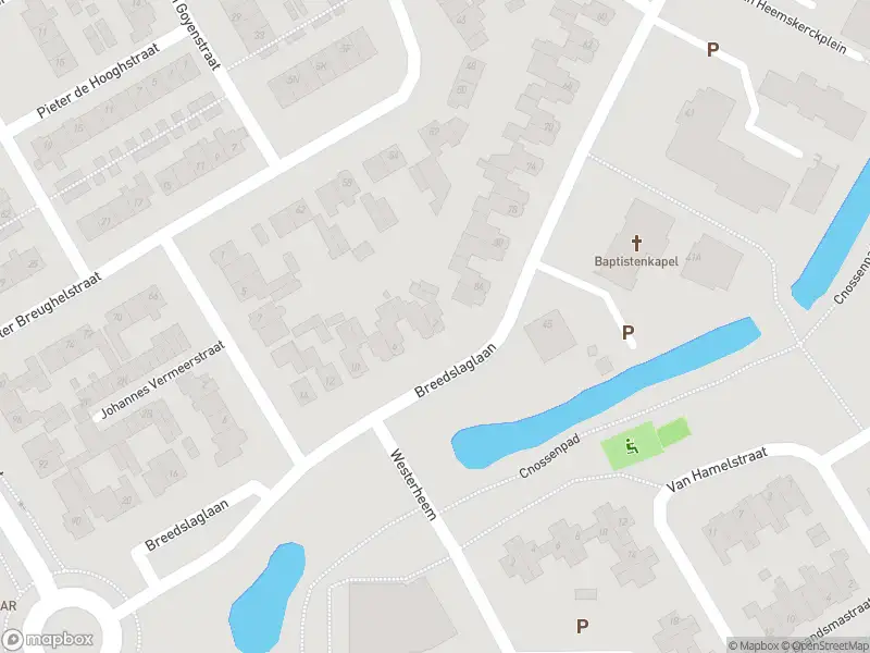 Ambulance met gepaste spoed naar de Breedslaglaan in Heemskerk