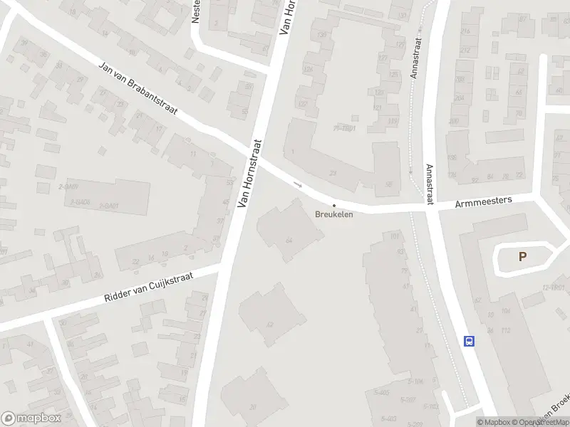 Overlastmelding Van Hornstraat in Boxtel