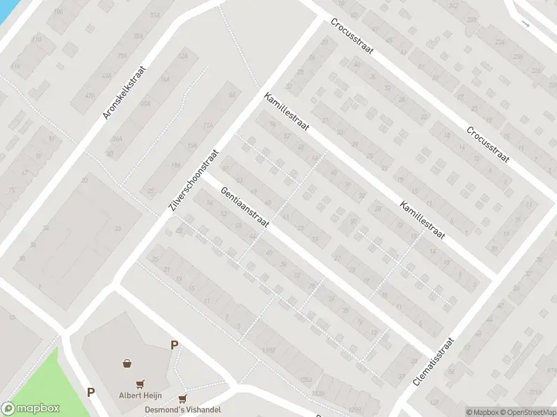 Ambulance met grote spoed naar de Gentiaanstraat in Rotterdam