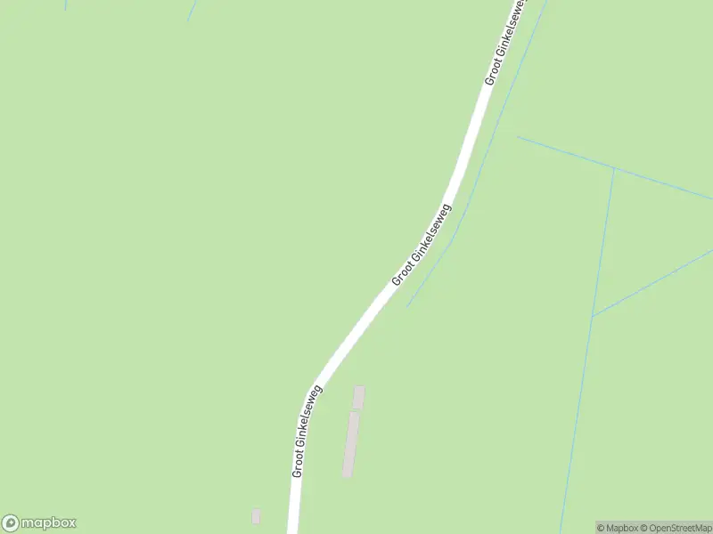 Brandweer met gepaste spoed naar de Groot Ginkelseweg in Ede vanwege stormschade