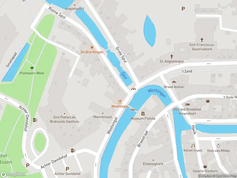 Brandweer met gepaste spoed naar de Kleine Spui in Amersfoort vanwege dier(en) in nood