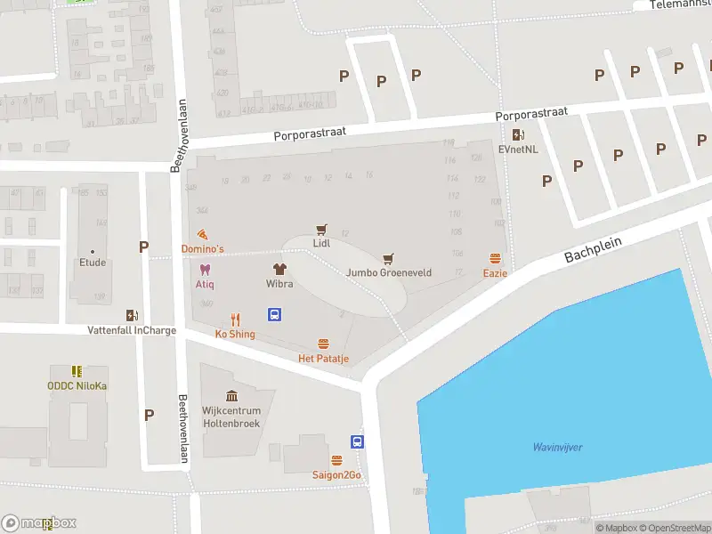 Brandweer met gepaste spoed naar de Bachplein in Zwolle