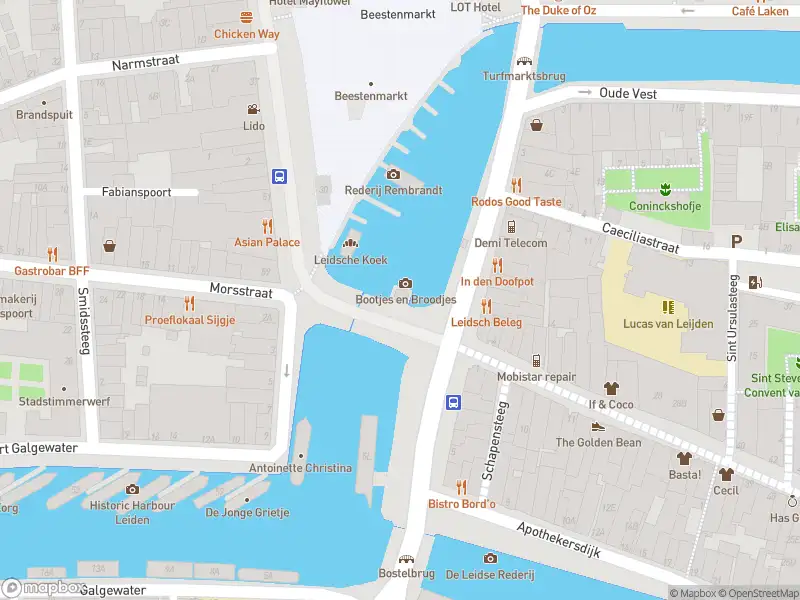 Ambulance met gepaste spoed naar de Blauwpoortsbrug in Leiden