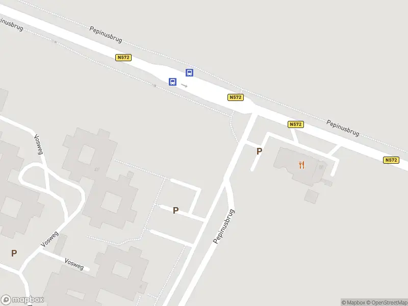 Overlastmelding N572 in Echt