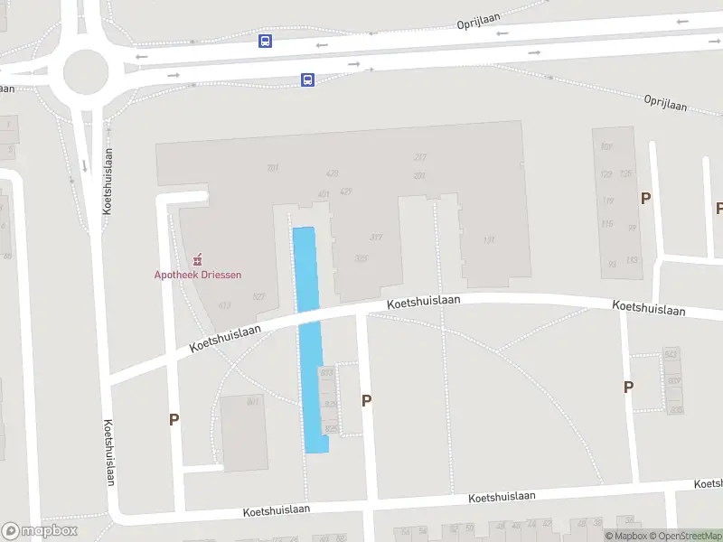 112 melding Overlastmelding Koetshuislaan in Waalwijk