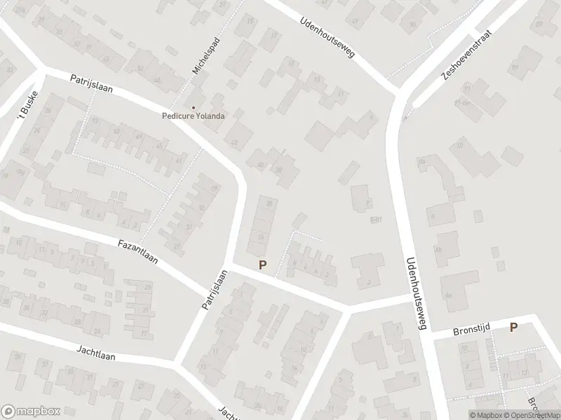 Overlastmelding Patrijslaan in Berkel-Enschot