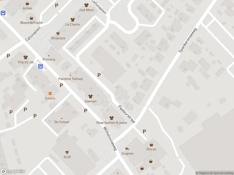 Overlastmelding Pasteurstraat in Dieren gesloten