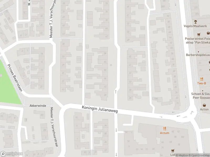 Overlastmelding Meester C. Goselingstraat in Best gesloten