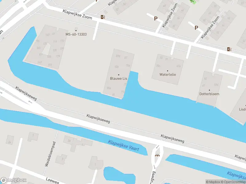 Ambulance met gepaste spoed naar de Klapwijkse Zoom in Berkel en Rodenrijs