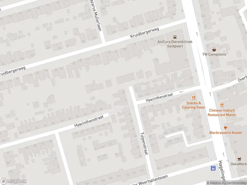 Overlastmelding Tulpenstraat in Santpoort-Noord