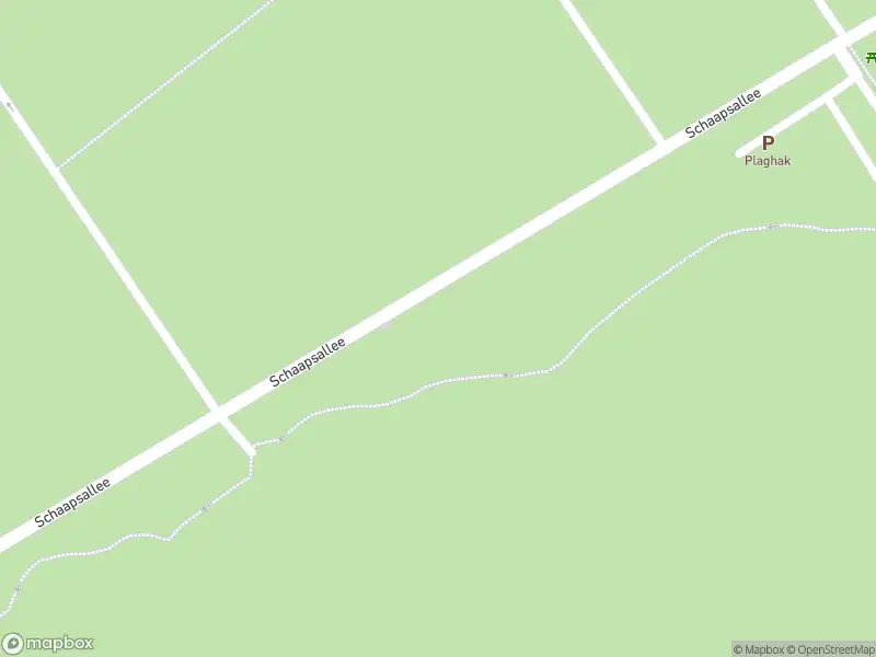 Overlastmelding Schaapsallee in Laag-Soeren gesloten