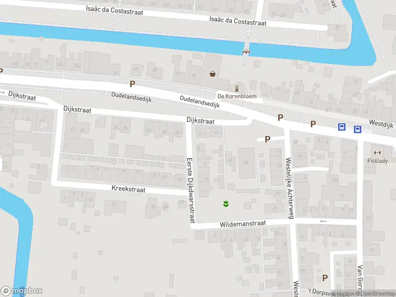 Ambulance met gepaste spoed naar de Eerste Dijkdwarsstraat in Sommelsdijk
