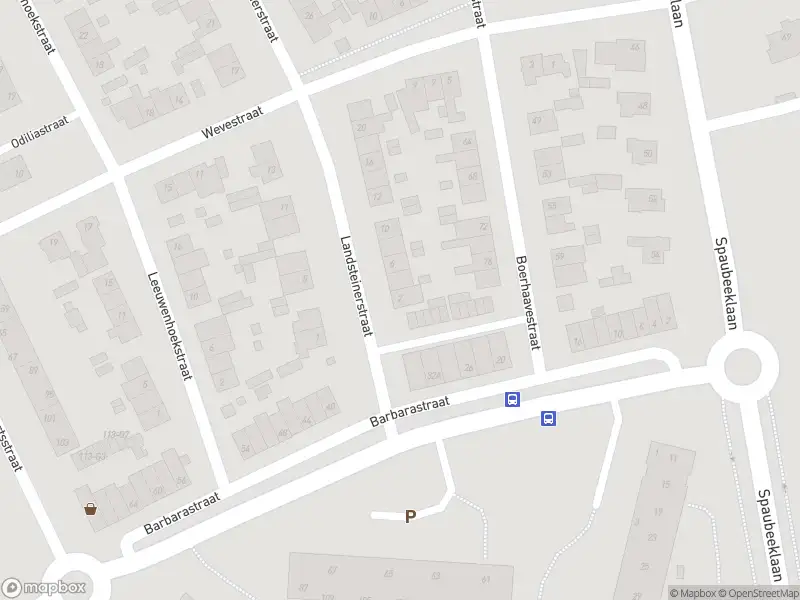 Overlastmelding Landsteinerstraat in Geleen