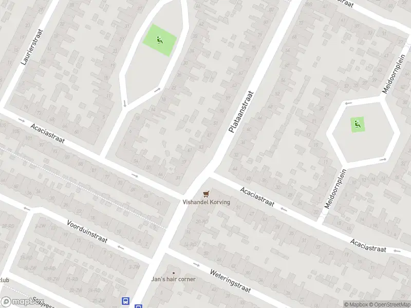 Ambulance met gepaste spoed naar de Plataanstraat in Haarlem