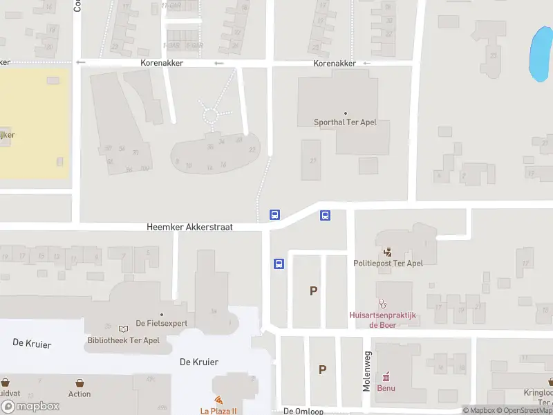 Politie met grote spoed naar de Heemker Akkerstraat in Ter Apel vanwege ongeval met letsel