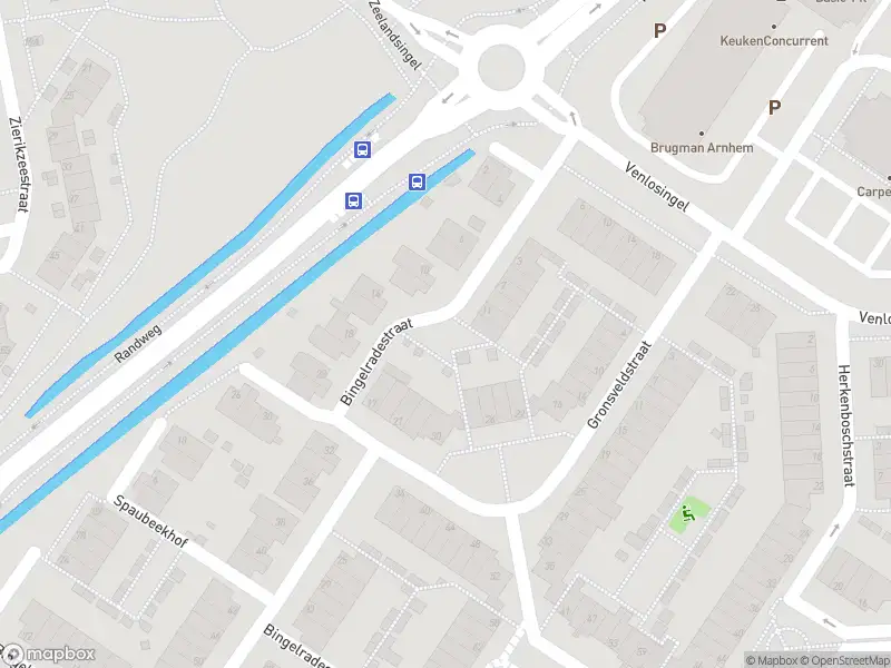 Overlastmelding Bingelradestraat in Arnhem (Bingelradepark)