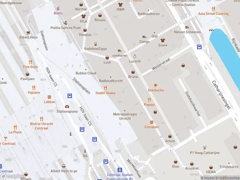 Politie naar de Stationsplein in Utrecht