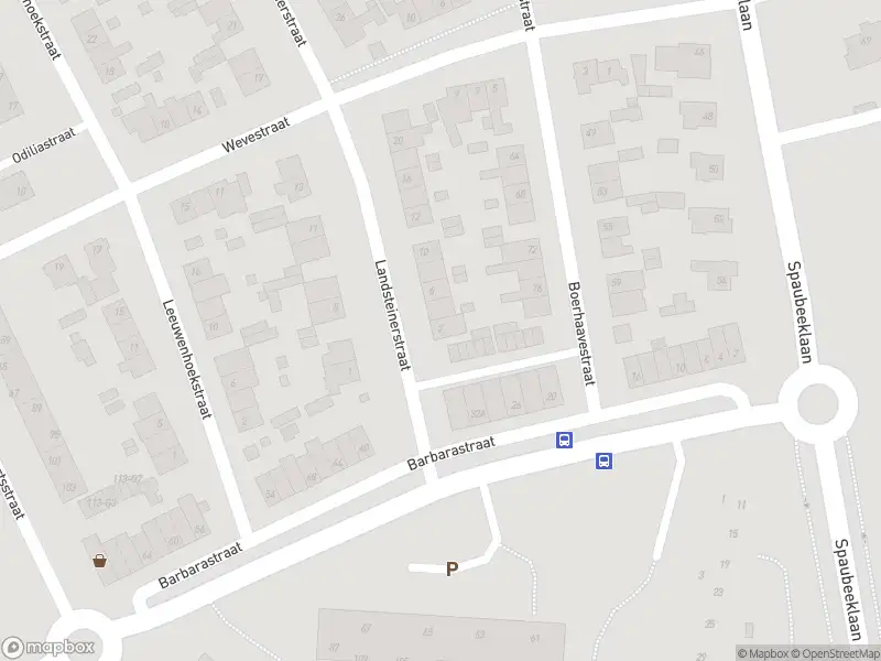 Overlastmelding Landsteinerstraat in Geleen