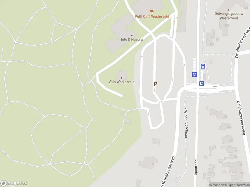 Ambulance met gepaste spoed naar de Duin- en Kruidbergerweg in Driehuis
