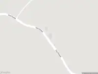 Brandweer met gepaste spoed naar de Slachtedyk in Boazum vanwege dier(en) in nood