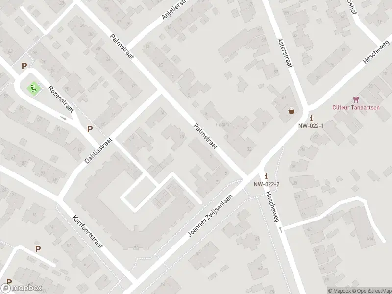 Politie naar de Palmstraat in Oss vanwege ongeval met letsel