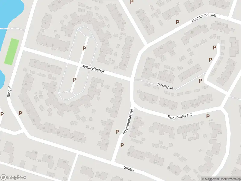 Overlastmelding Anemoonstraat in Nieuwendijk gesloten