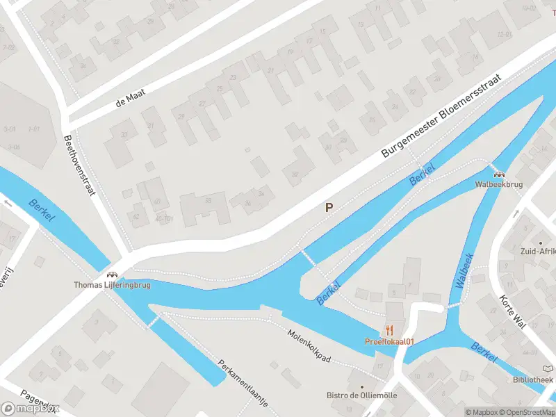 Brandweer met grote spoed naar de Koppeldijk in Borculo