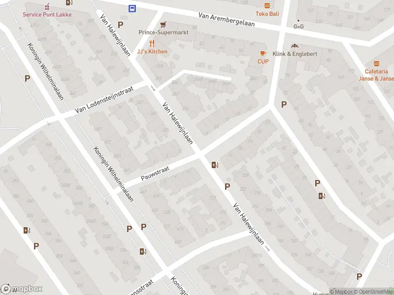 Ambulance met gepaste spoed naar de Von Geusaustraat in Voorburg