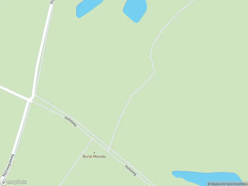 Brandweer met gepaste spoed naar de Sint Walrickweg in Overasselt