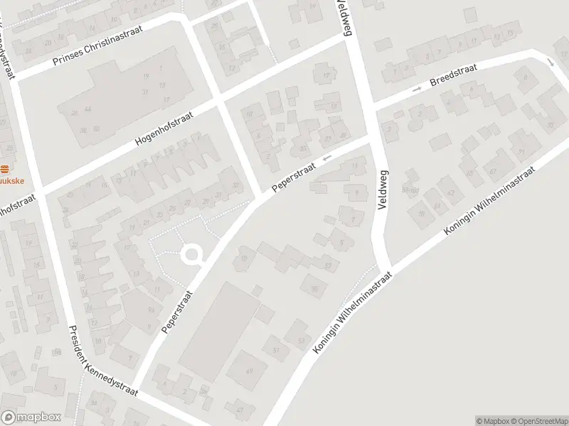 Politie naar de Voorstraat in Hedel vanwege aanrijding met letsel